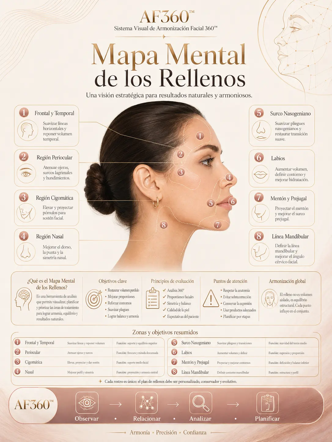 Lámina AF360: Mapa Mental de los Rellenos