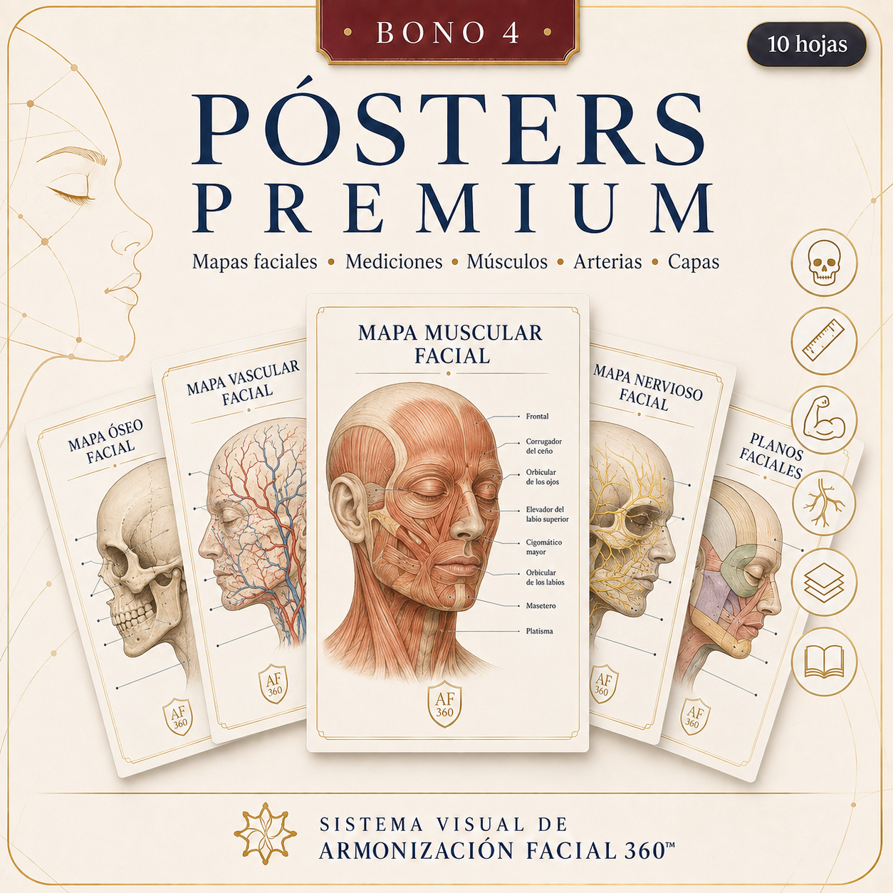 POSTERS PREMIUM