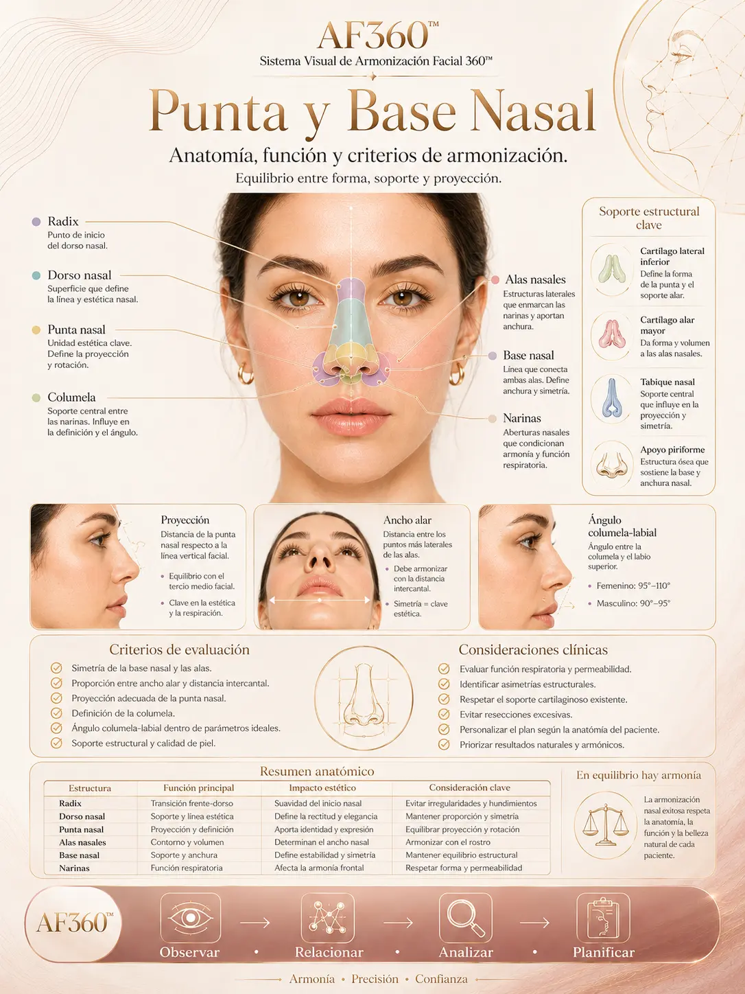 Lámina AF360: Punta y Base Nasal