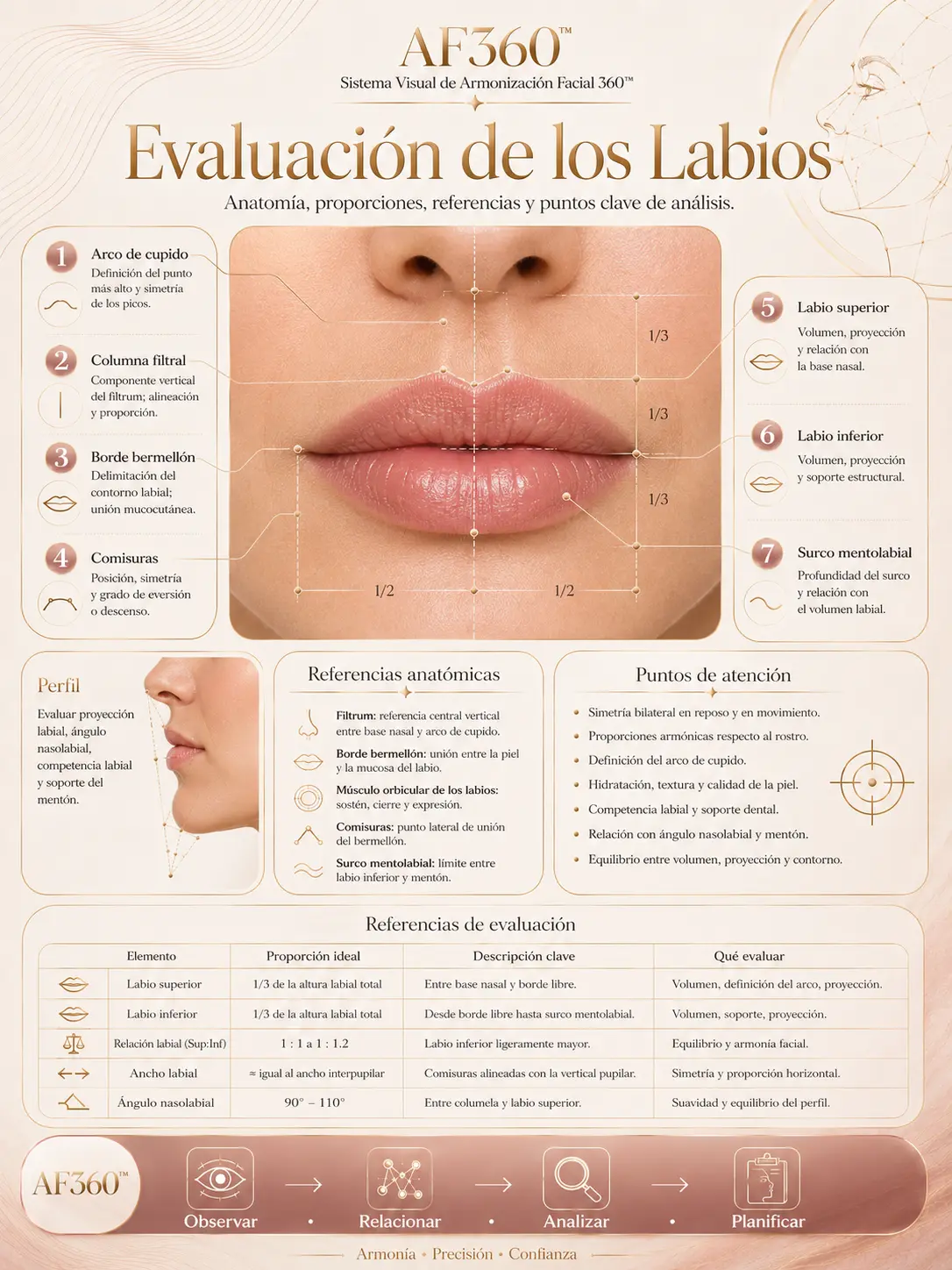 Lámina AF360: Evaluación de los Labios